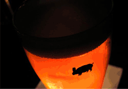Happy Hour | Pub & Kitchen | Drink Philly