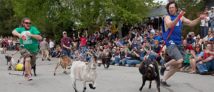 Sly Fox Bock Fest & Goat Race, May 6