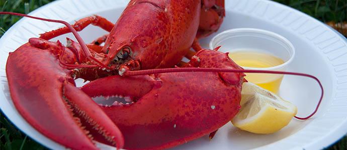 Enliven Your Drinks With Lobster & Crab Deals