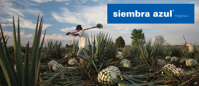 Siembra Azul Introduces Two New Extra Anejo Tequilas