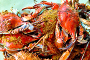 5th Annual Crab Fest Returns to City Tap House, Sun., Aug. 17