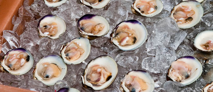 Kick Out the Clams, Mothershuckers: Allagash Clam Fest Comes to SPTR, Wed., Sept. 10