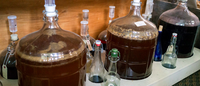 Move Over Kombucha, Kefir Beer Could Be the Next Big Thing in Fermentation