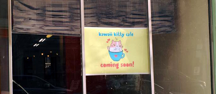 Philly s First Kitty Cafe  Finds a Home in Queen  Village 