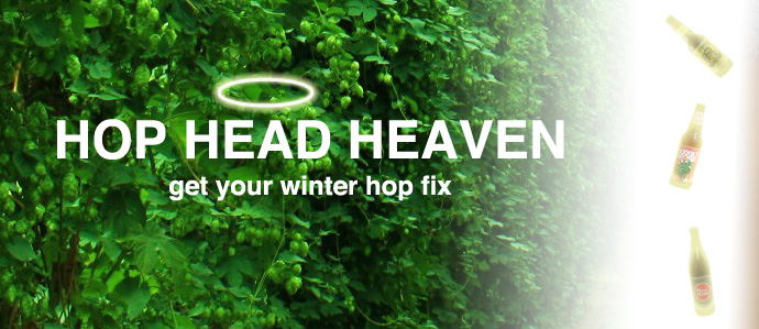 Hop Head Heaven