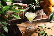 Philadelphia Distilling Launching Secret Pop-Up Cocktail Garden for Earth Day, April 11-21