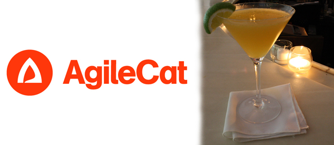 AgileCat Gets a Cocktail for Charity