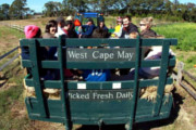 Cape May Brewing Co. Teams up With Annual Beach Plum Farm Fall Festival