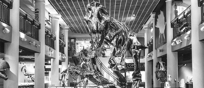 Drink with the Dinos After Hours at The Academy of Natural Sciences