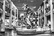 Drink with the Dinos After Hours at The Academy of Natural Sciences