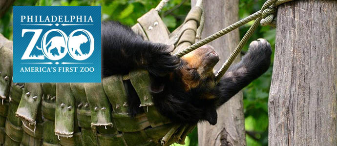 Drink With the Animals at the Philadelphia Zoo's First OktoBEARfest, September 16
