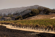 Philly Wine Week is Hosting Benefits & Fundraisers to Support California Wildfire Relief, November 6-12